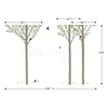 SUMMER TREE WALL DECALS