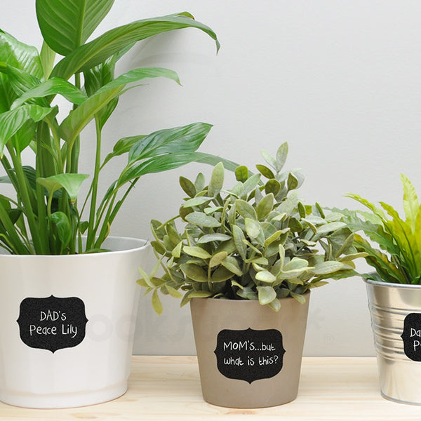 CURLY CHALKBOARD LABELS